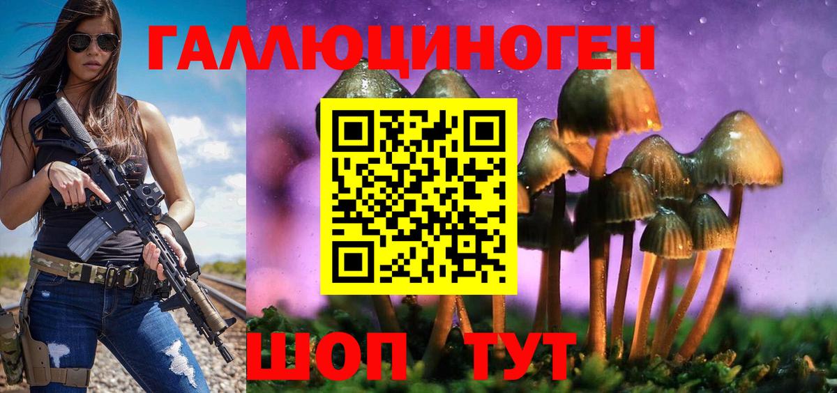 Псилоцибиновые грибы MAGIC MUSHROOMS  Вход с VPN  Кизилюрт 