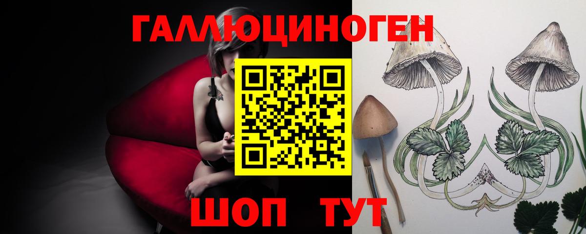 Галлюциногенные грибы GOLDEN TEACHER Кизилюрт